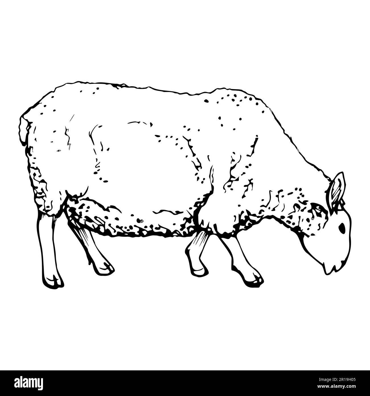 Ink hand drawn sketch of isolated object. Vector black silhouette of grazing domestic animal sheep livestock for wool. Design for tourism, travel Stock Vector