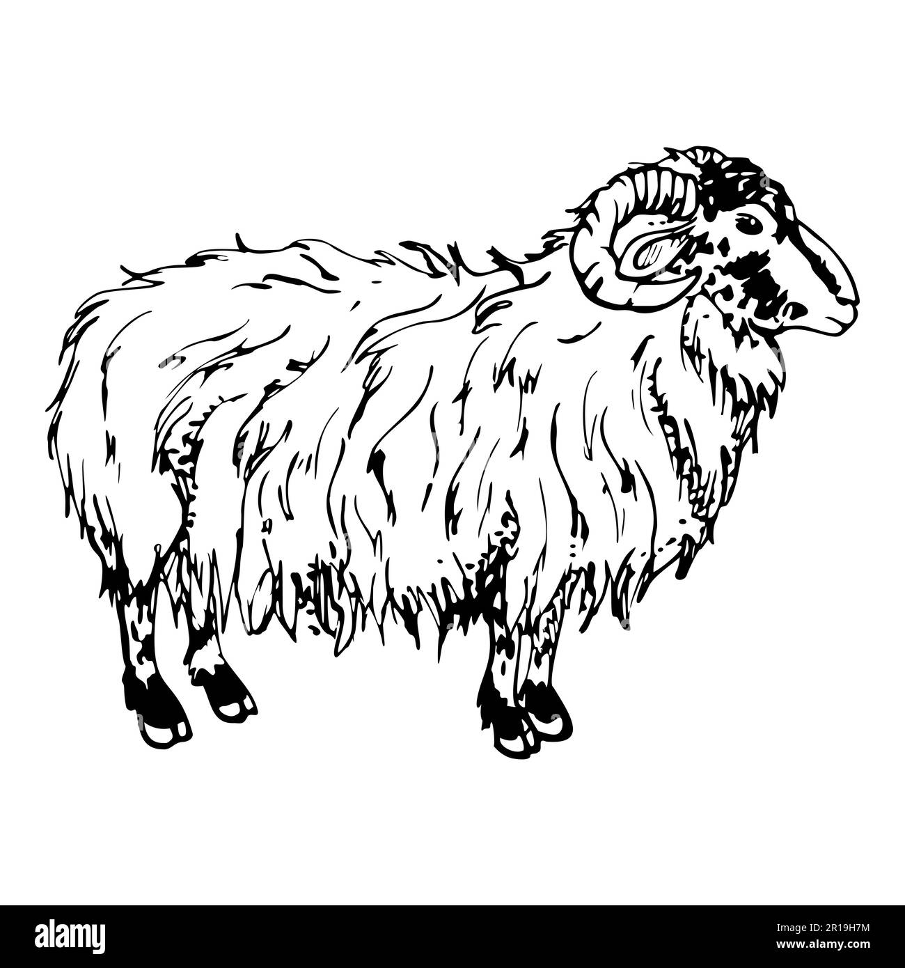 Ink hand drawn sketch of isolated object. Vector black silhouette of grazing domestic animal sheep ram livestock for wool. Design for tourism, travel Stock Vector