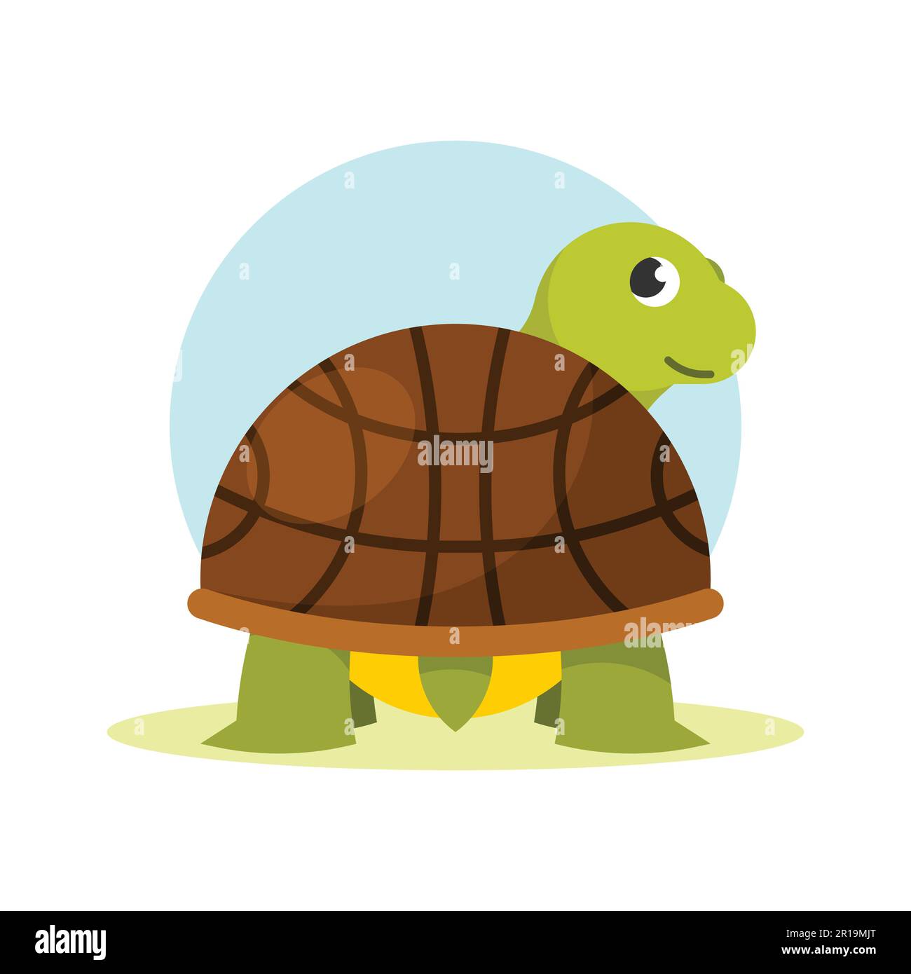 Cute turtle cartoon icon. Flat illustration of cute turtle vector icon ...