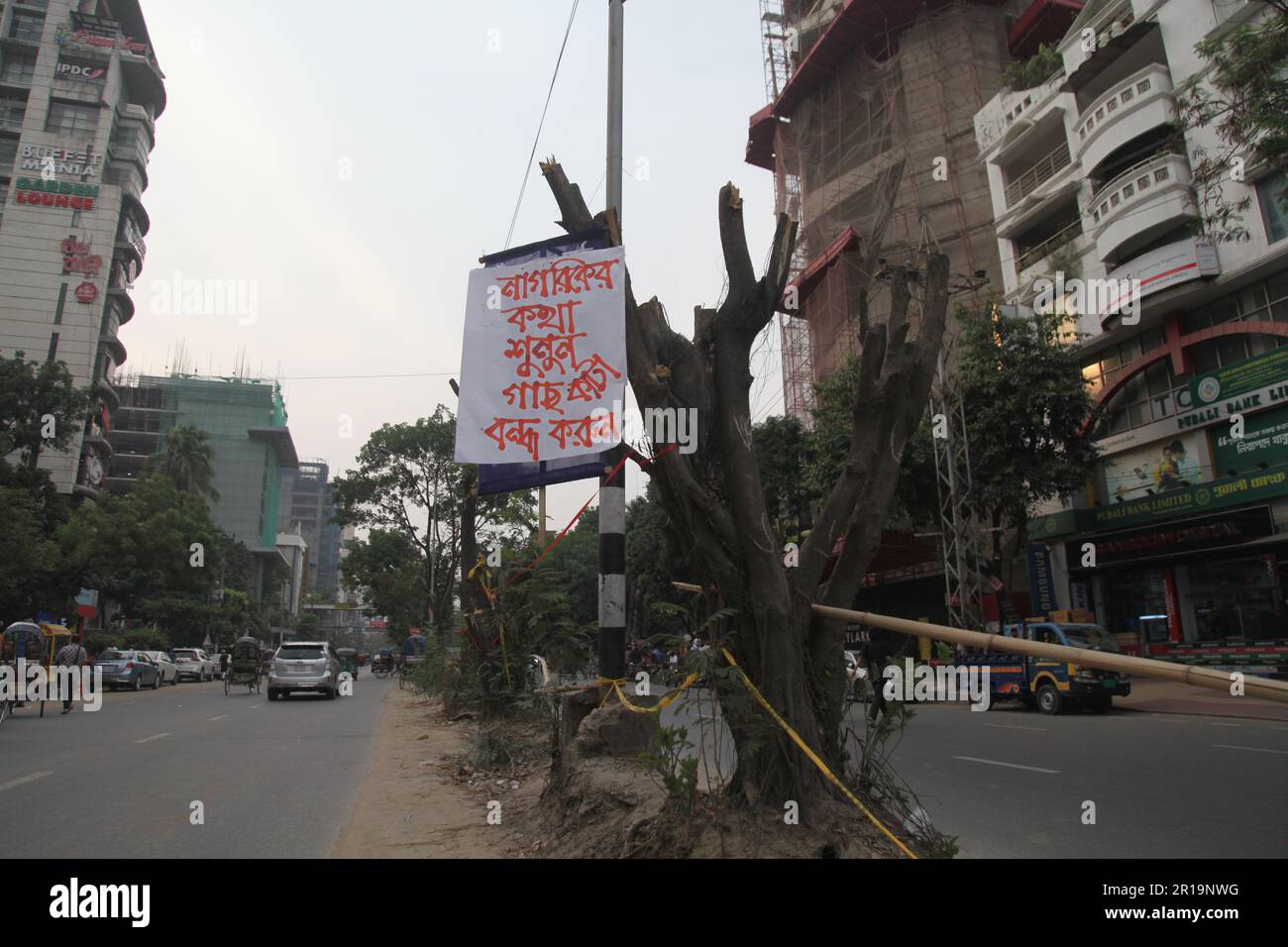tree cutting ,Dhanmondi Saat Masjid road 12may2023, Dhanmondi Saat Masjid road divider tree cutting stop and native species work in the place of cut t Stock Photo
