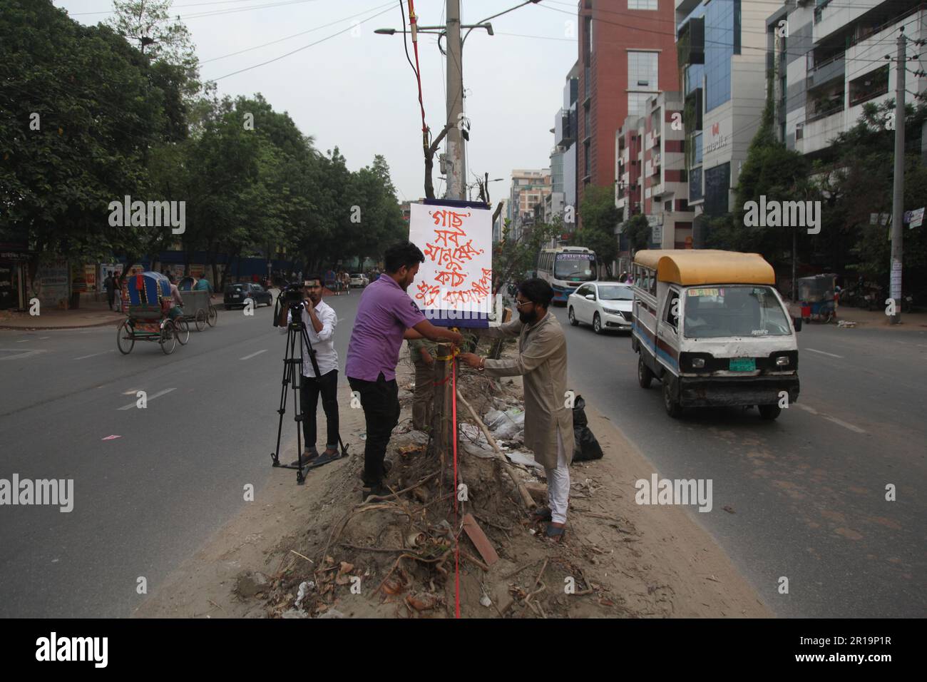 tree cutting ,Dhanmondi Saat Masjid road 12may2023, Dhanmondi Saat
