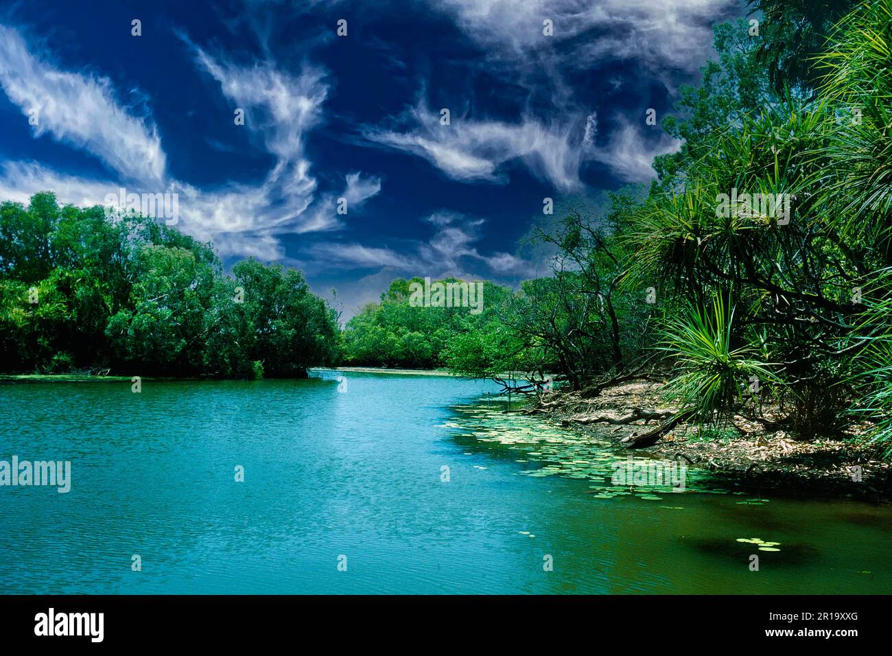 Yellow Water Billabong, Kakadu National Park, Northern Territory ...