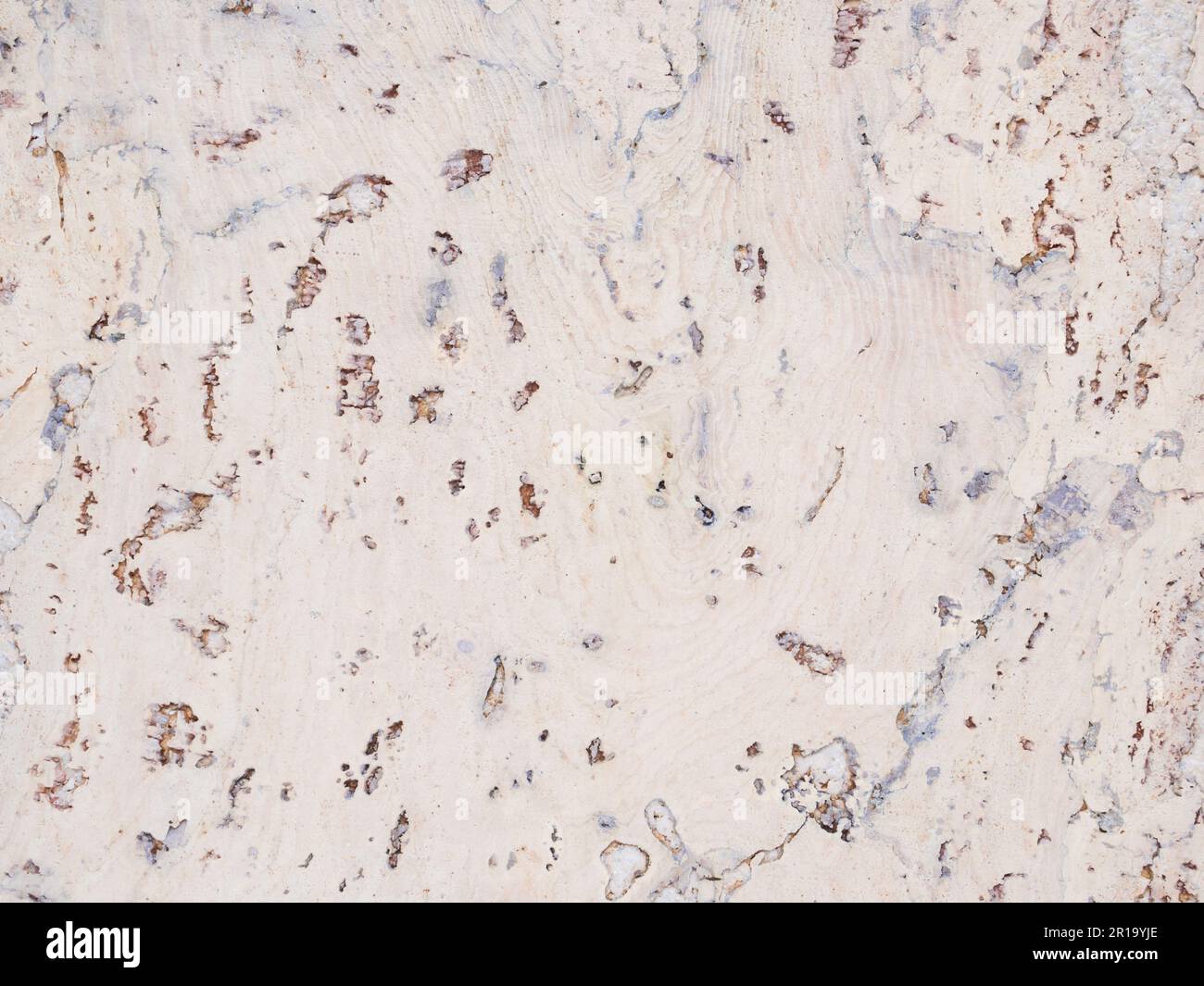 Grey oak wooden texture wood hi-res stock photography and images - Alamy