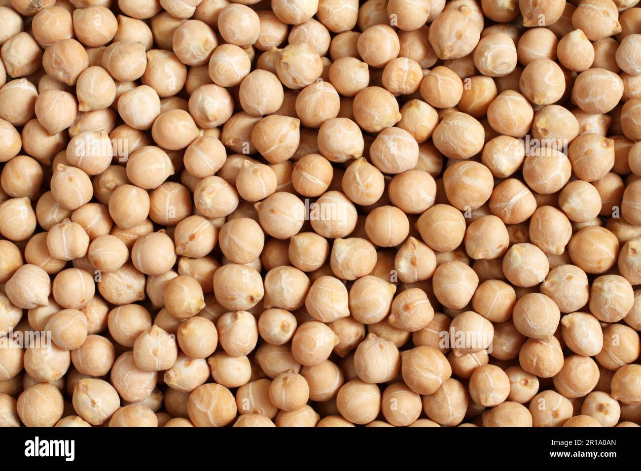Dry organic chickpeas. Food background. Macro. Closeup Stock Photo