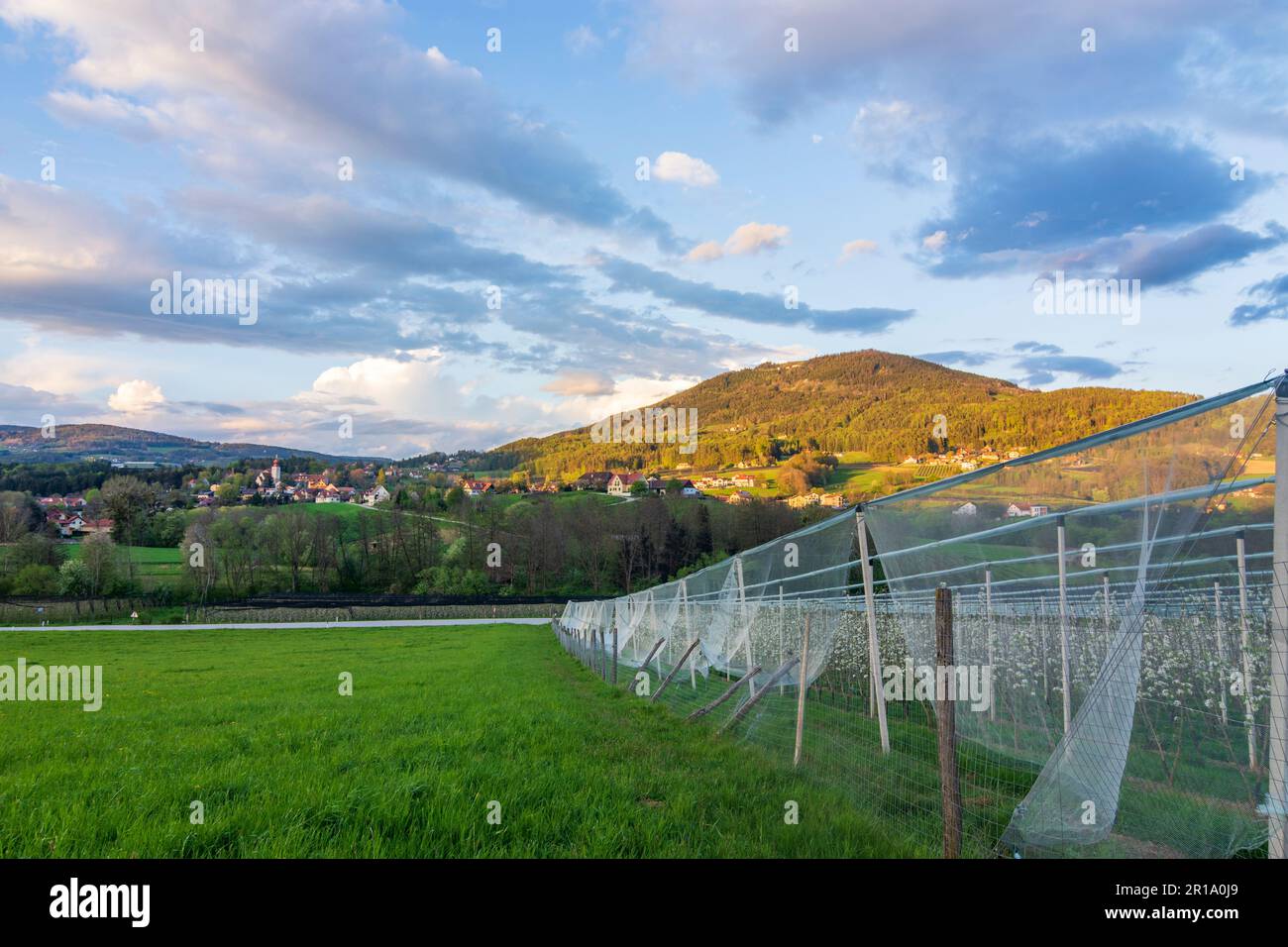 Puch bei Weiz village Puch bei Weiz, apple plantations, Apfelland
