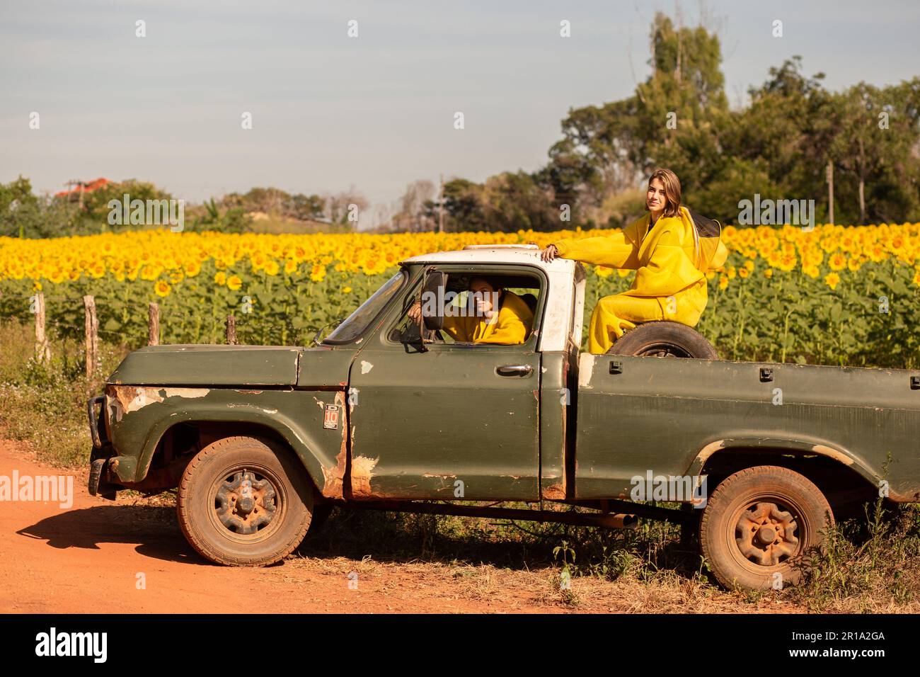 Goiânia, Goias, Brazil – May 11, 2023:  Two beekeepers in a pickup truck visiting a sunflower plantation. Stock Photo