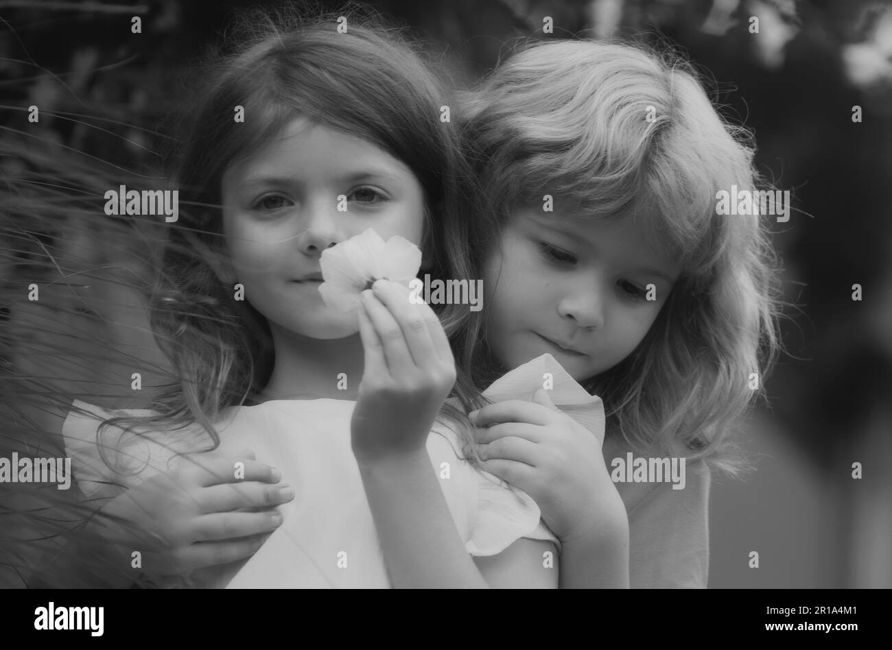 Romantic, boy and girl giving a flower for love and romance. Cute kids