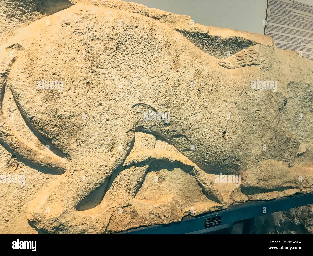 texture, clay sculpture made of plastic material. on the texture of