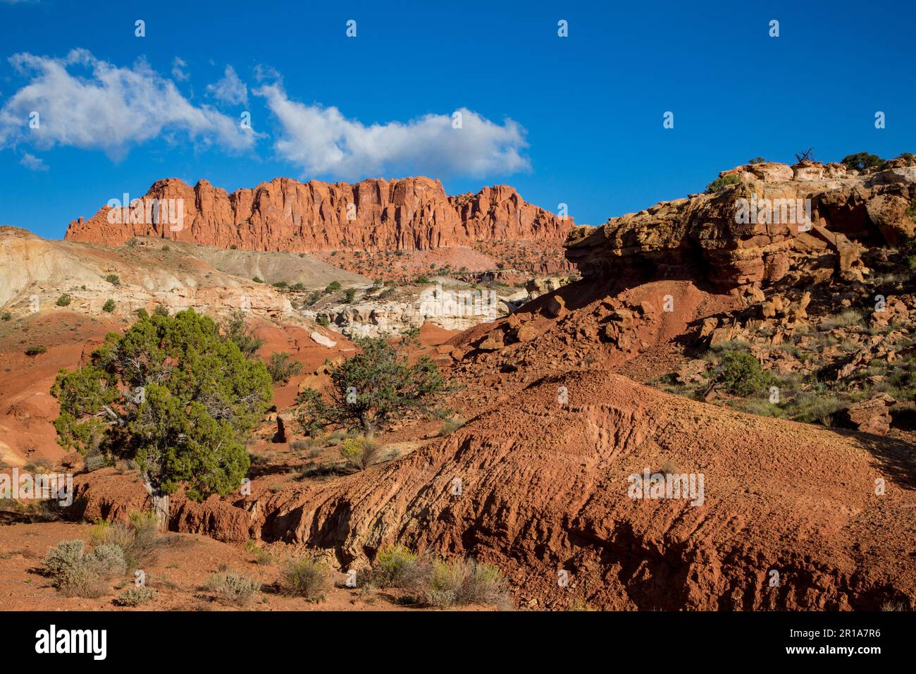 Rugged eroded geologic formations in Capitol Reef National Park in Utah. Stock Photo