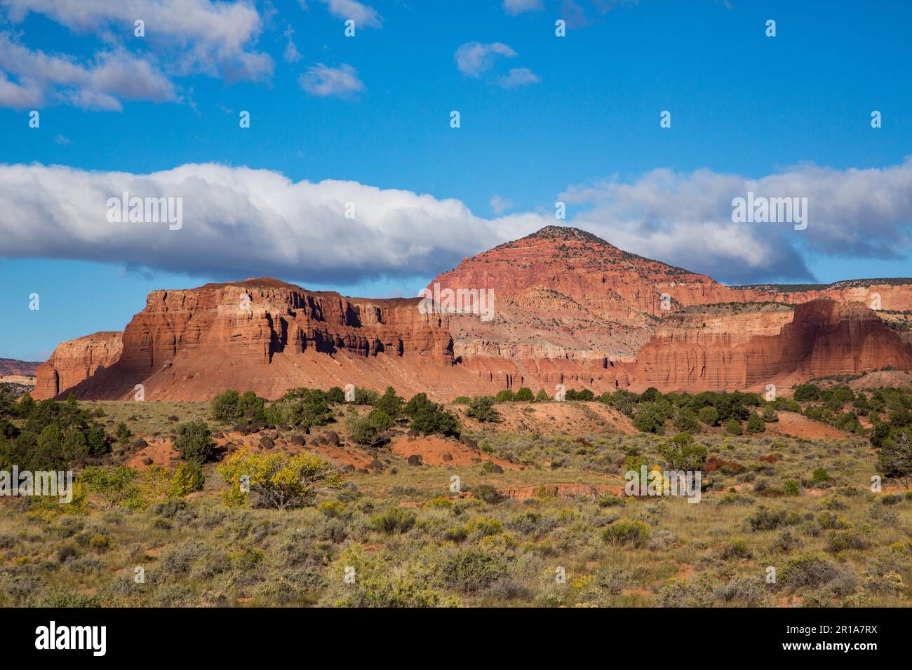 Eroded sandstone formations in Capitol Reef National Park in Utah. Stock Photo