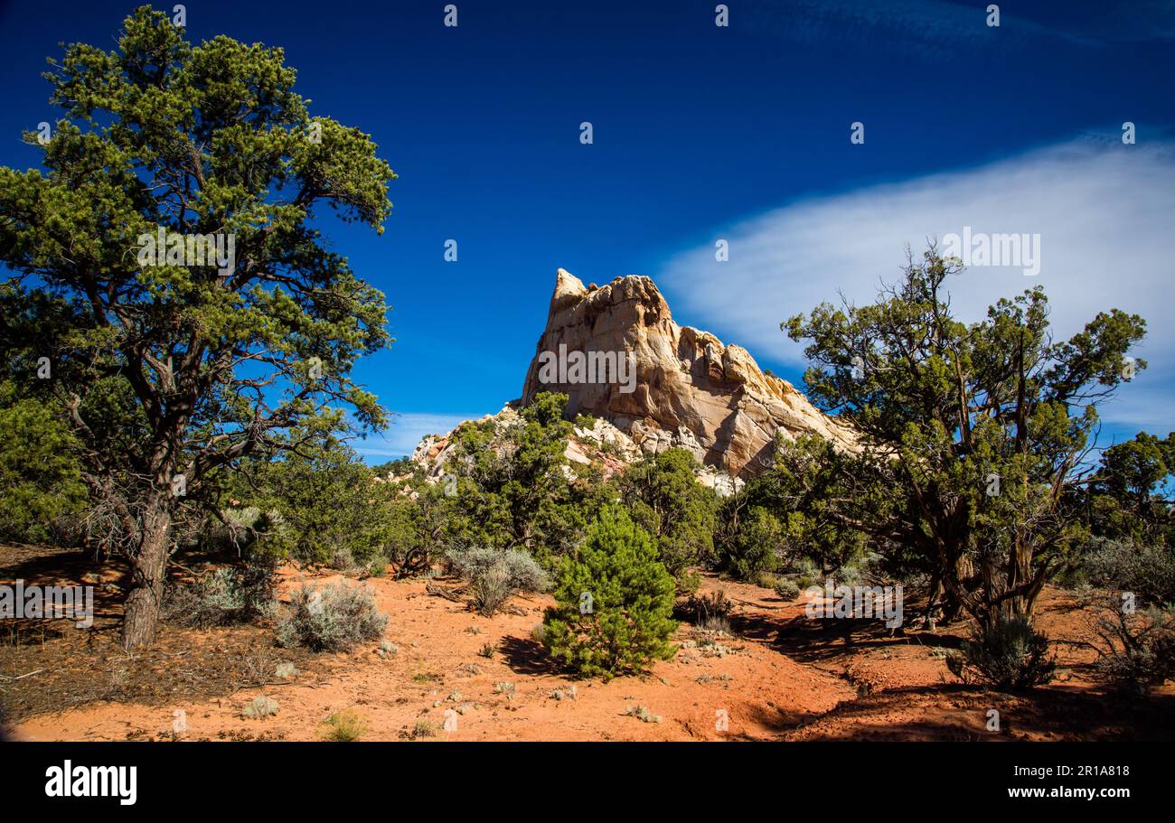 Eroded sandstone formations in Muley Twist Canyon in Capitol Reef National Park in Utah. Stock Photo