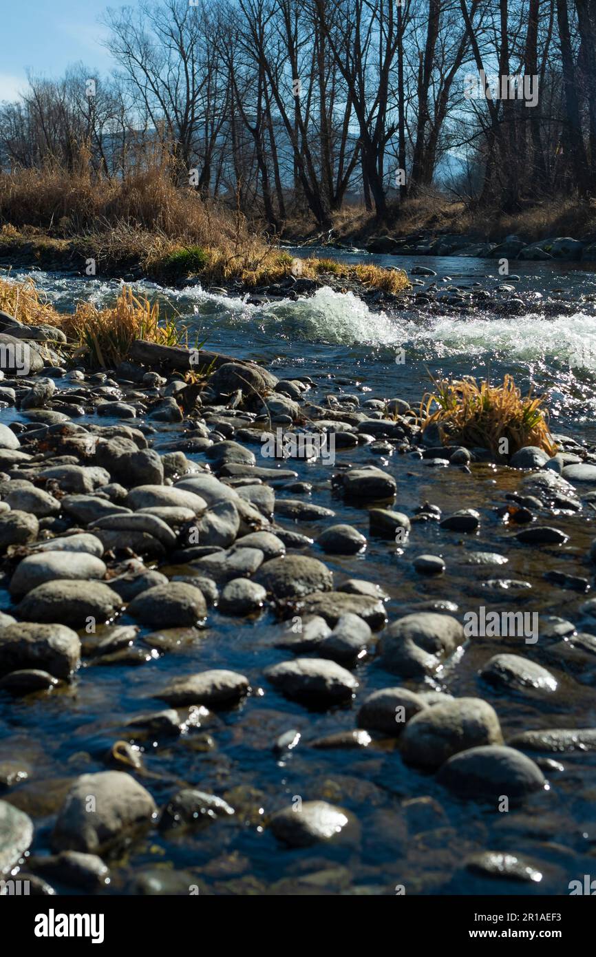 Rolling Stones on a river water edge landscape with leafless winter forest in the background Stock Photo