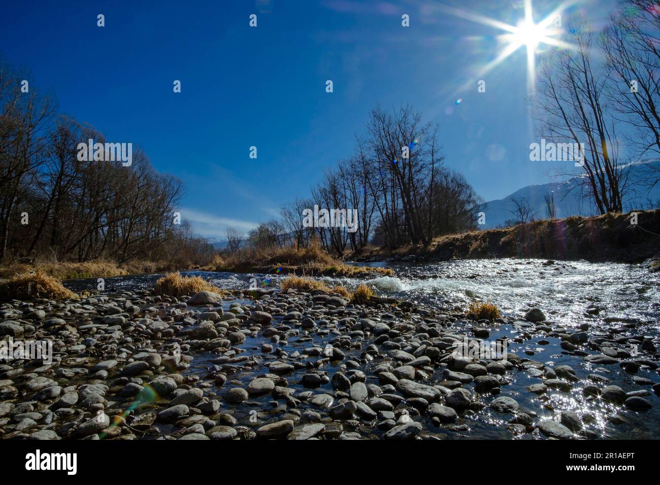 Cobble stones rolling on a wide river landscape on a winter leafless forest under a blue sunny sky with sun shining flare Stock Photo