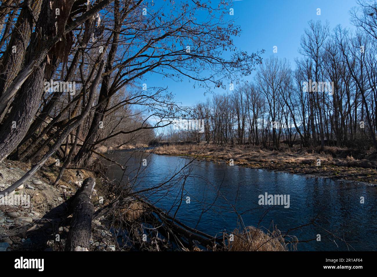 Rolling Stones on a river water edge landscape with leafless winter forest in the background Stock Photo