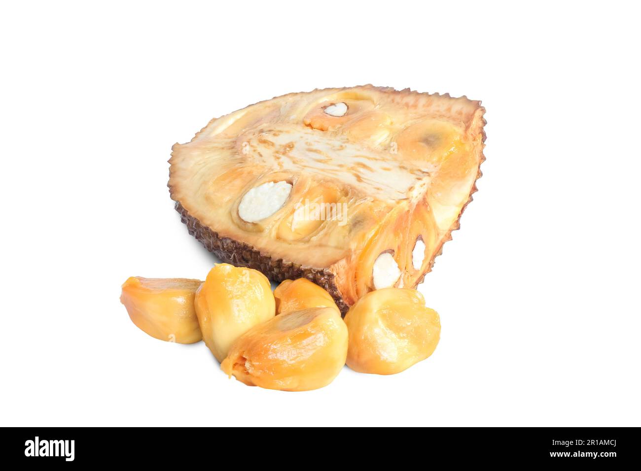 Jackfruit or campedak isolated on white background Stock Photo