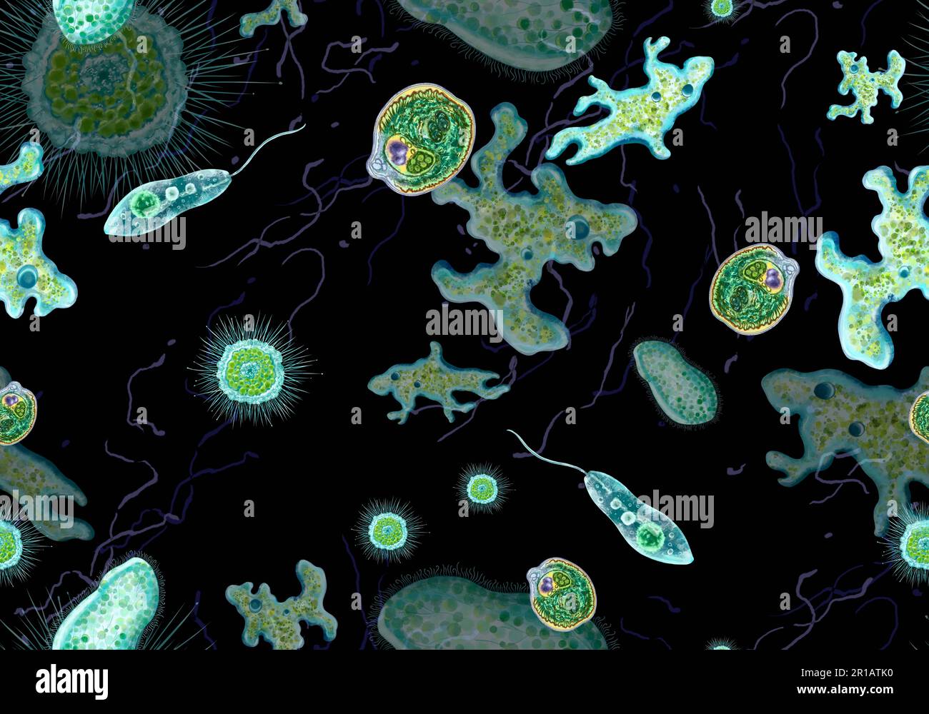 Bacteria, unicellular protozoa, algae. Seamless pattern for printing in