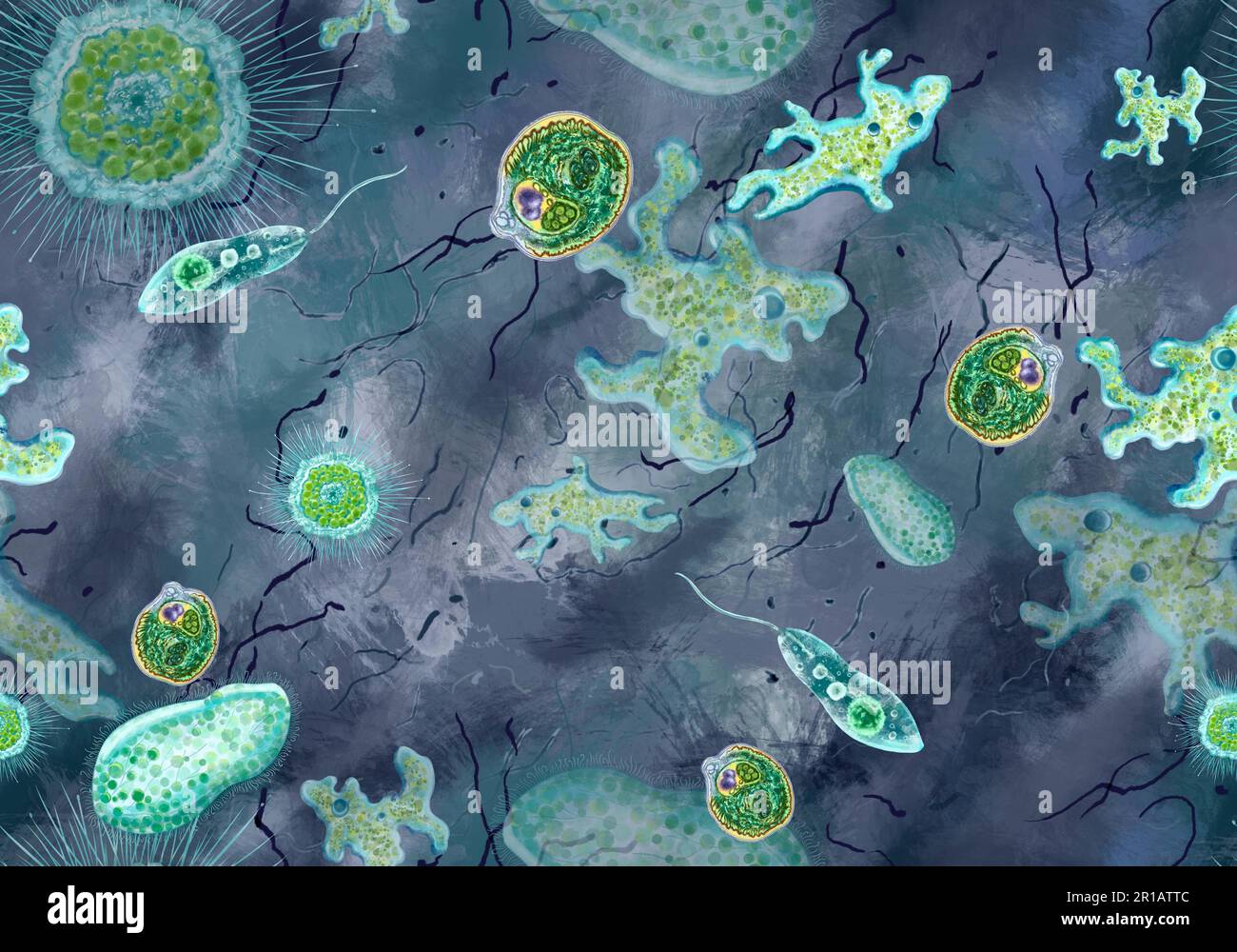 Bacteria, unicellular protozoa, algae. Seamless pattern for printing in textbooks, medical brochures, packaging, fabrics and other polygraphy. Color illustration of microbiology. High quality illustration Stock Photo