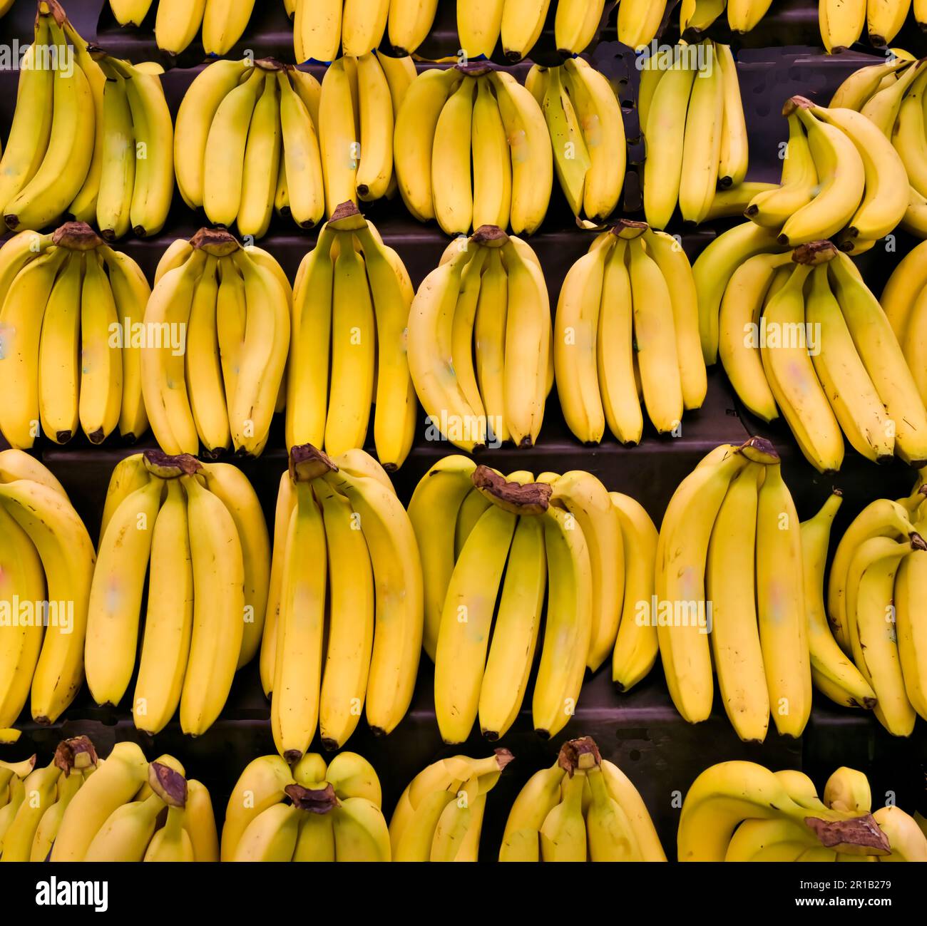 Bananas on display at supermarket Stock Photo Alamy
