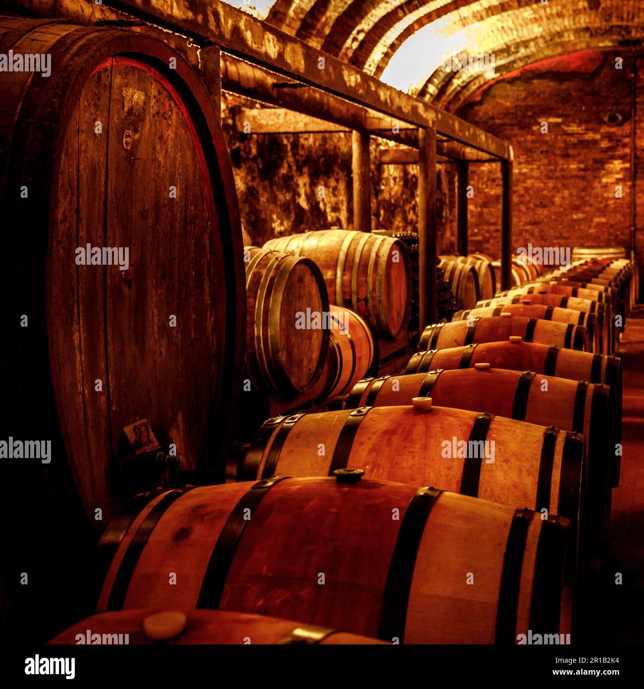 Vintage wine cellar featuring oak barrels Stock Photo Alamy