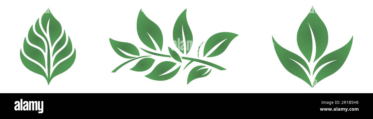 Green leaf icons set on white background. Vector illustration Stock ...