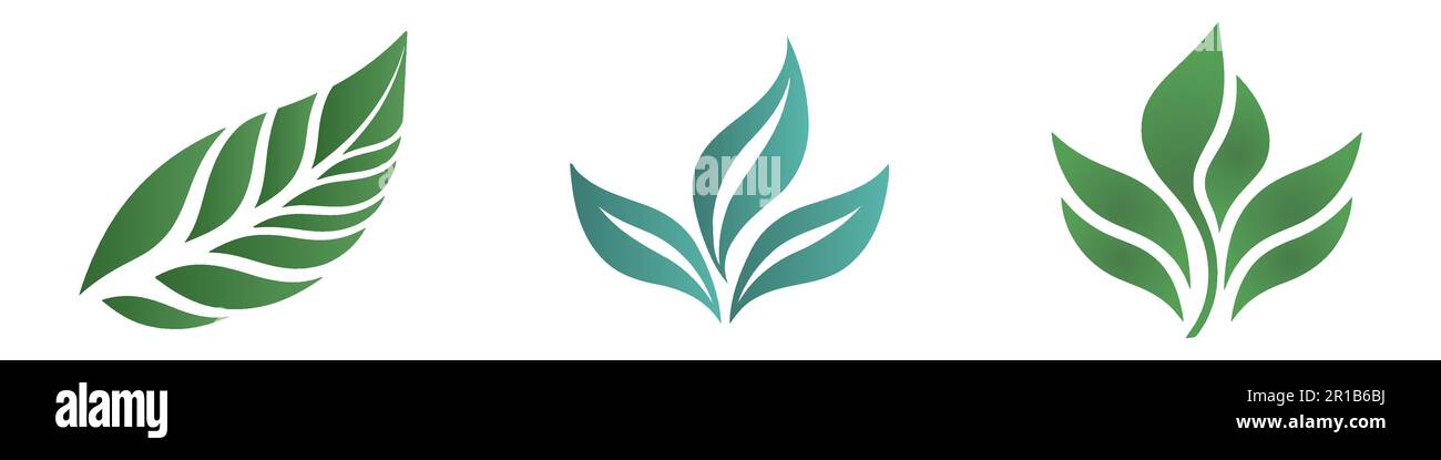 Green leaf icons set on white background. Vector illustration Stock ...