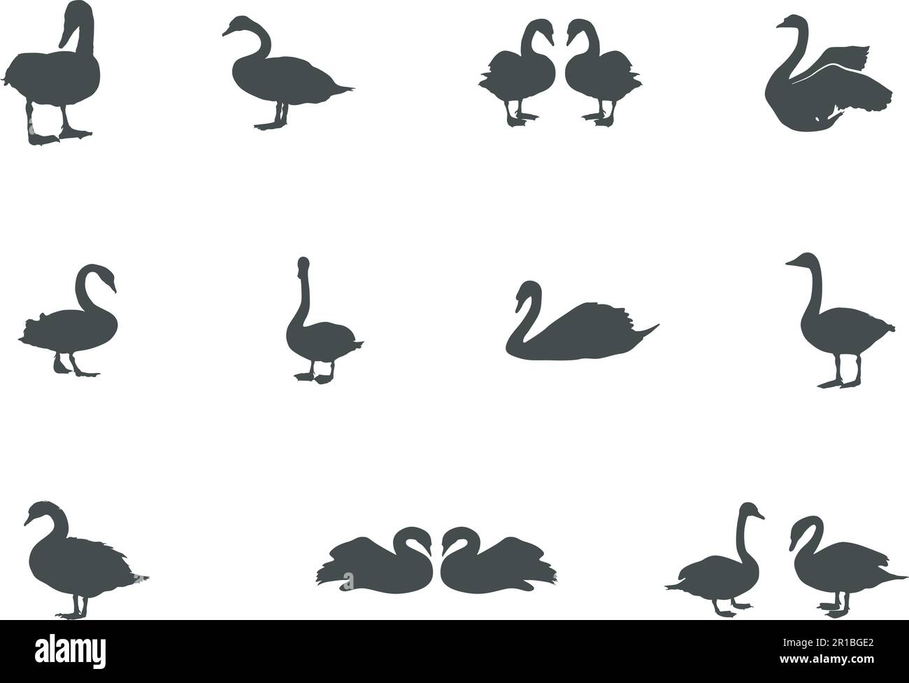 Swan silhouettes, Swan vector set, Swan icon Stock Vector