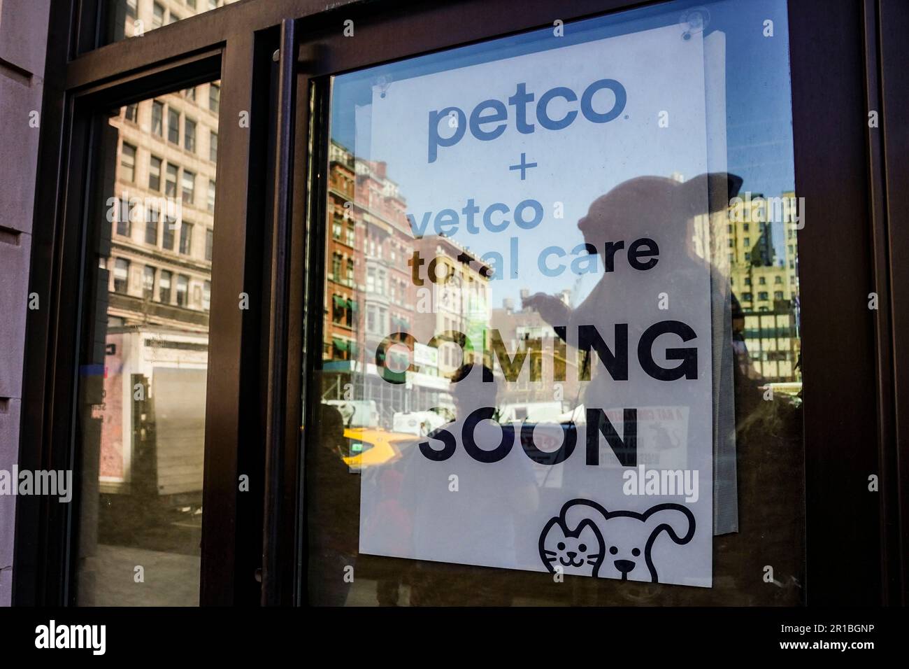 Petco Rats