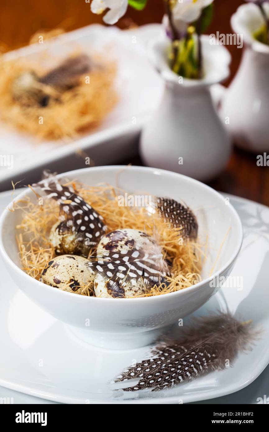 Easter place setting with quail eggs Stock Photo