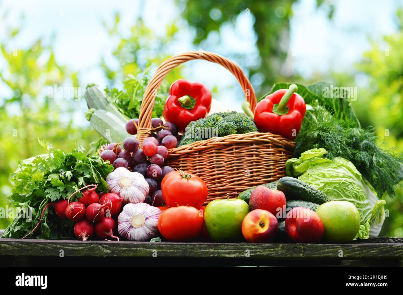 Fresh organic vegetables in wicker basket in the garden Stock Photo - Alamy