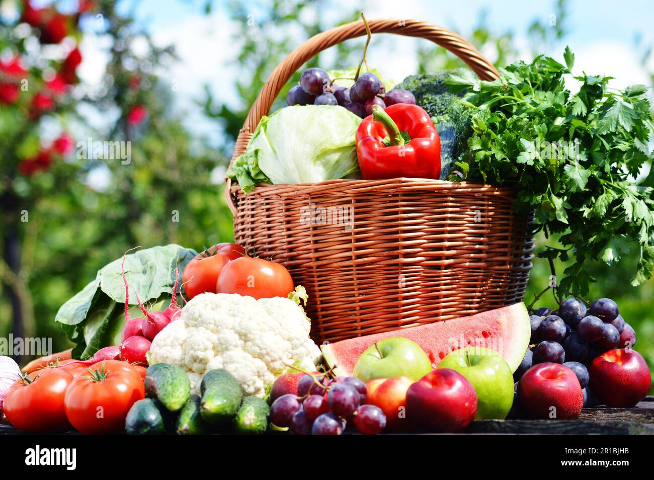 Fresh organic vegetables in wicker basket in the garden Stock Photo - Alamy