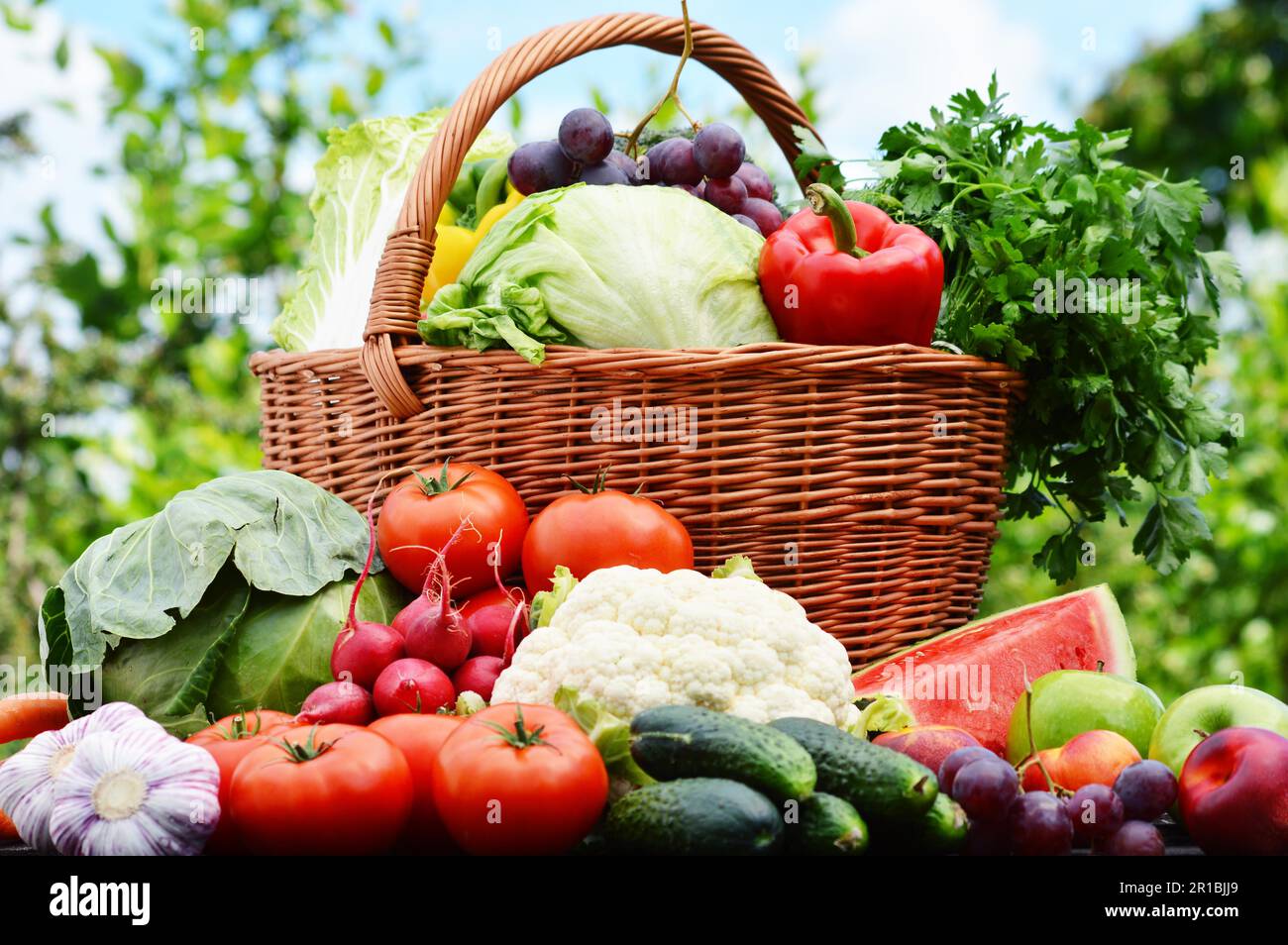 Fresh organic vegetables in wicker basket in the garden Stock Photo - Alamy