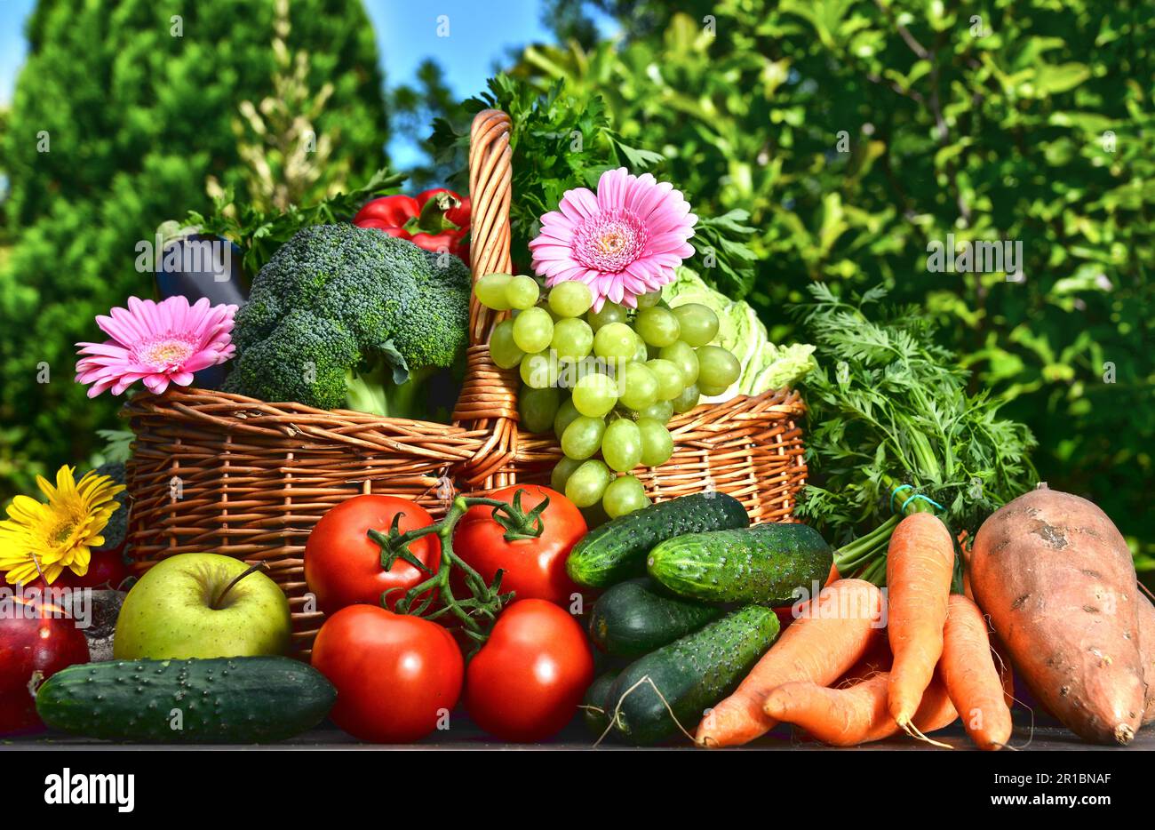 Normal Vegetables Variety of fresh organic vegetables and fruits in the garden. Balanced ...