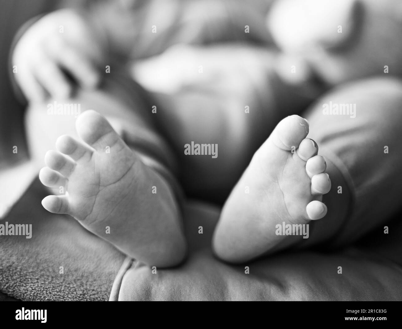 Close-up of cute little baby feet, innocence concept. Black and white image Stock Photo