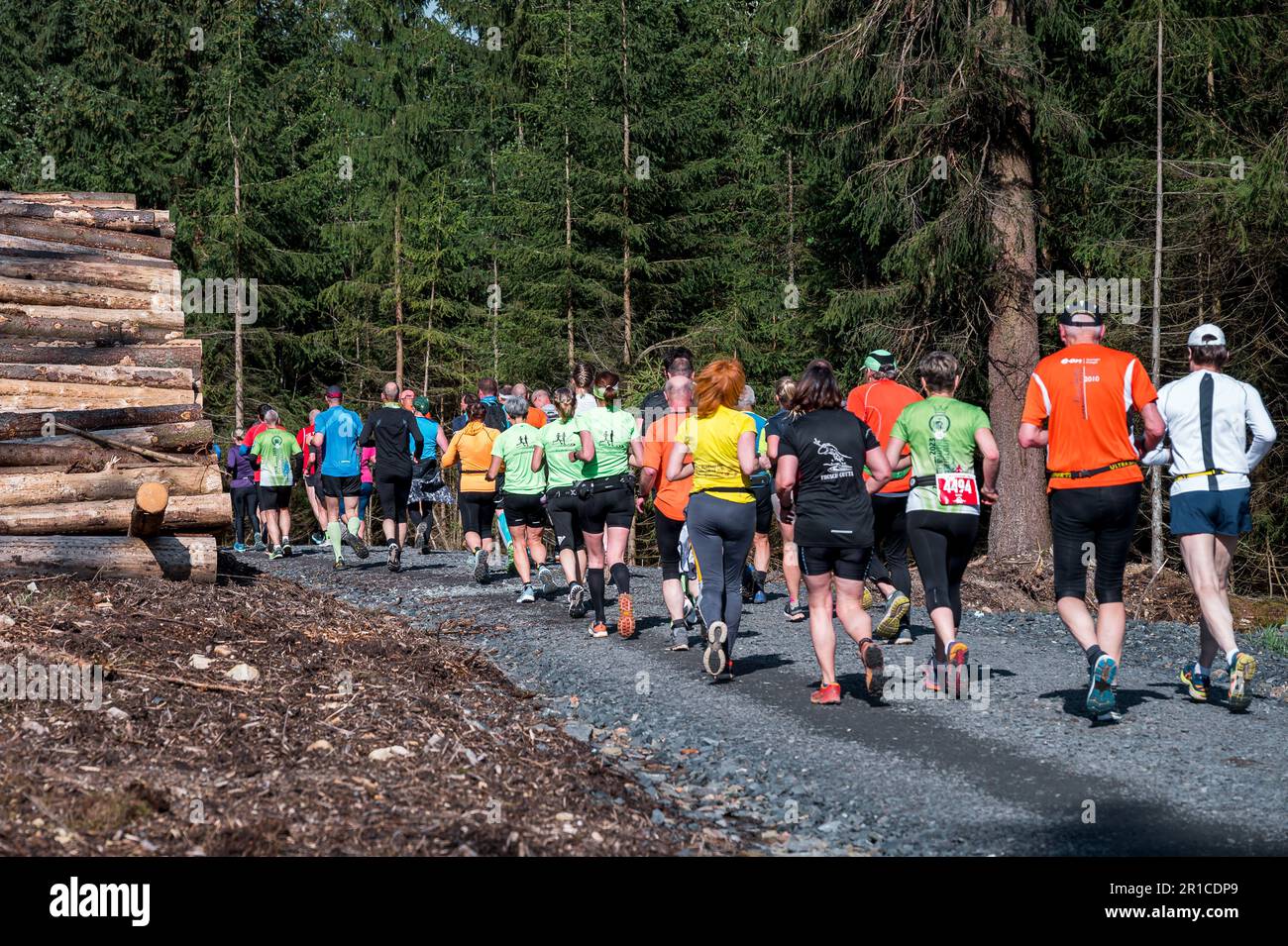 Steinheid, Germany. 13th May, 2023. Runners run through the forest at