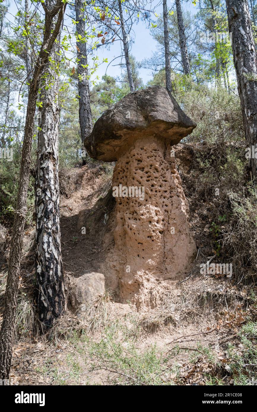 differential erosion, geology, mushroom shape, formation Stock Photo