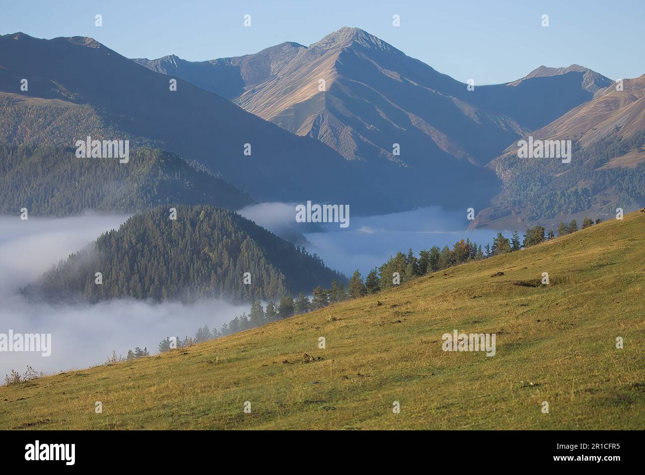 Mist in the valley Stock Photo