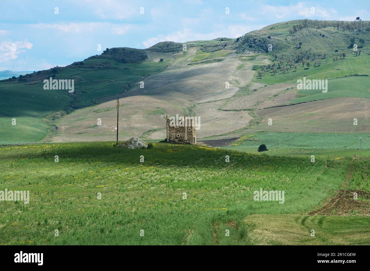 rural landscape with ruins of Albospino Watch Tower in Sicily, Italy ...