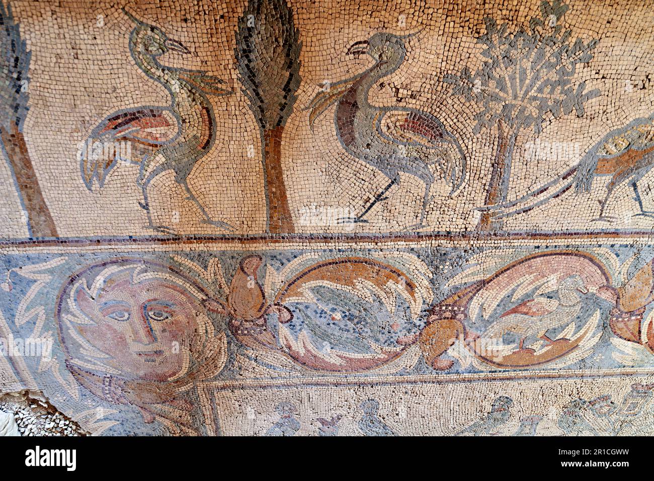 Jordan. Mosaics in the Apostles Church of Madaba Stock Photo