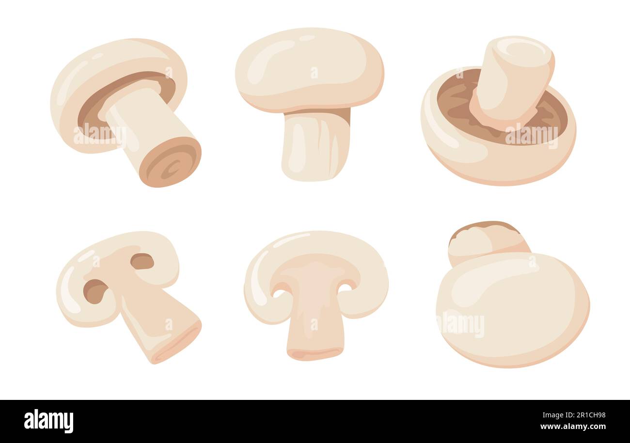 Cartoon vector illustration of mushrooms Stock Vector Image & Art Alamy