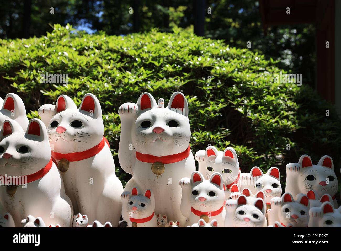 Gotokuji, the famous cat shrine in tokyo, which the beckoning cat is