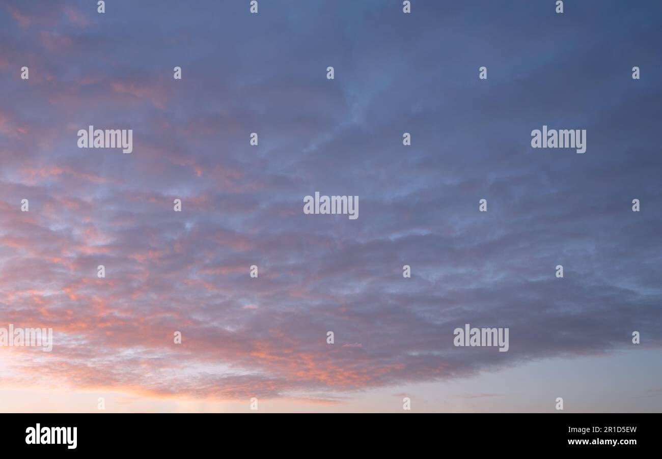 Evening sky with pastel-colored clouds Stock Photo