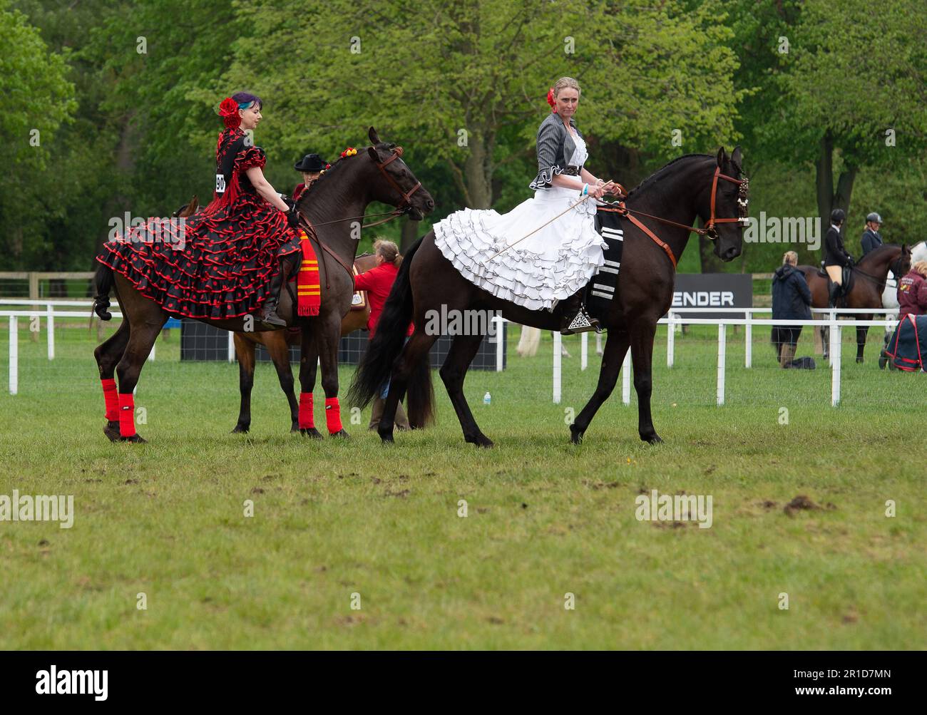 Windsor, Berkshire, UK. 13th May, 2023. Beautiful Spanish ridden horses