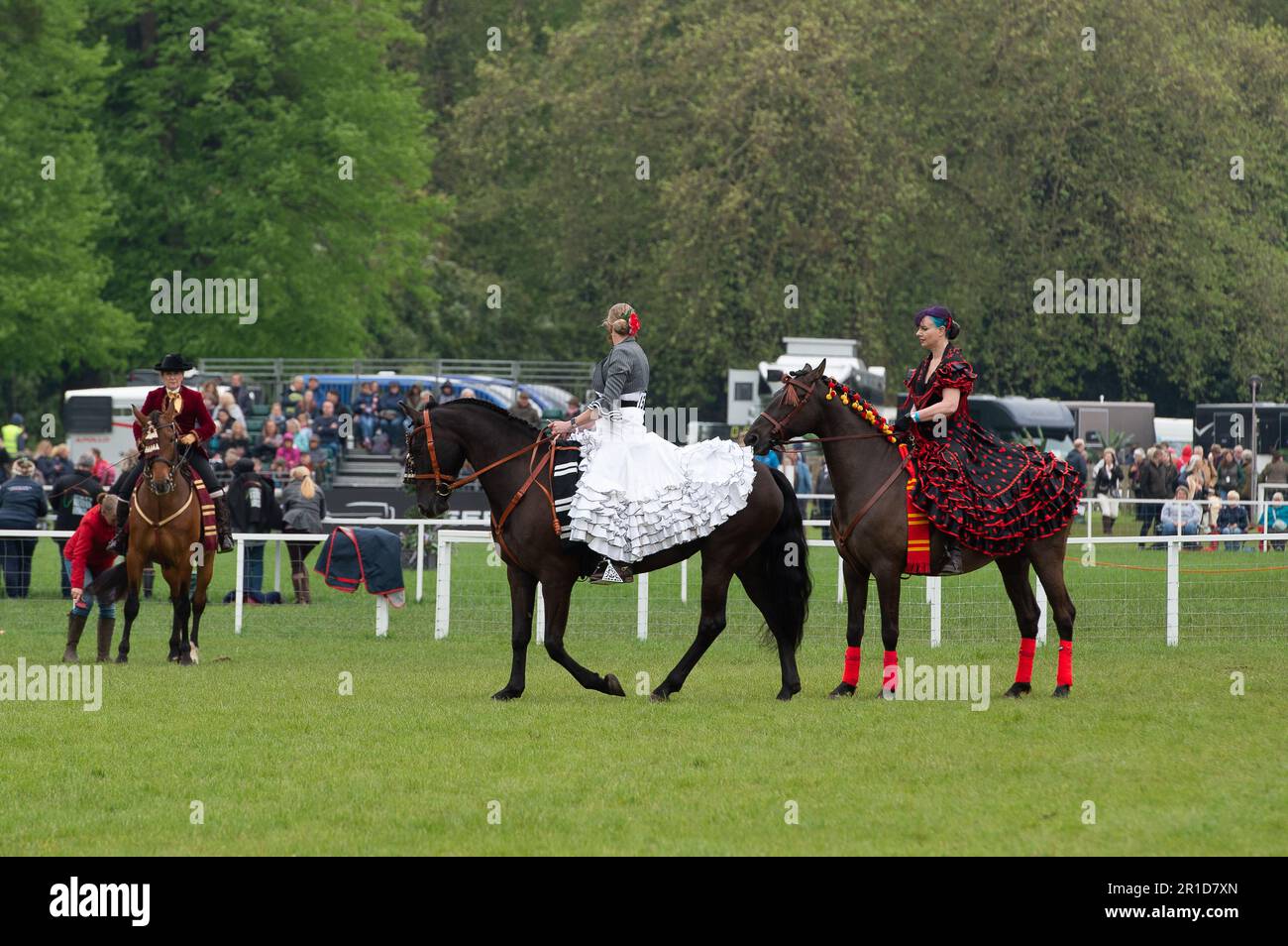 Windsor, Berkshire, UK. 13th May, 2023. Beautiful Spanish ridden horses