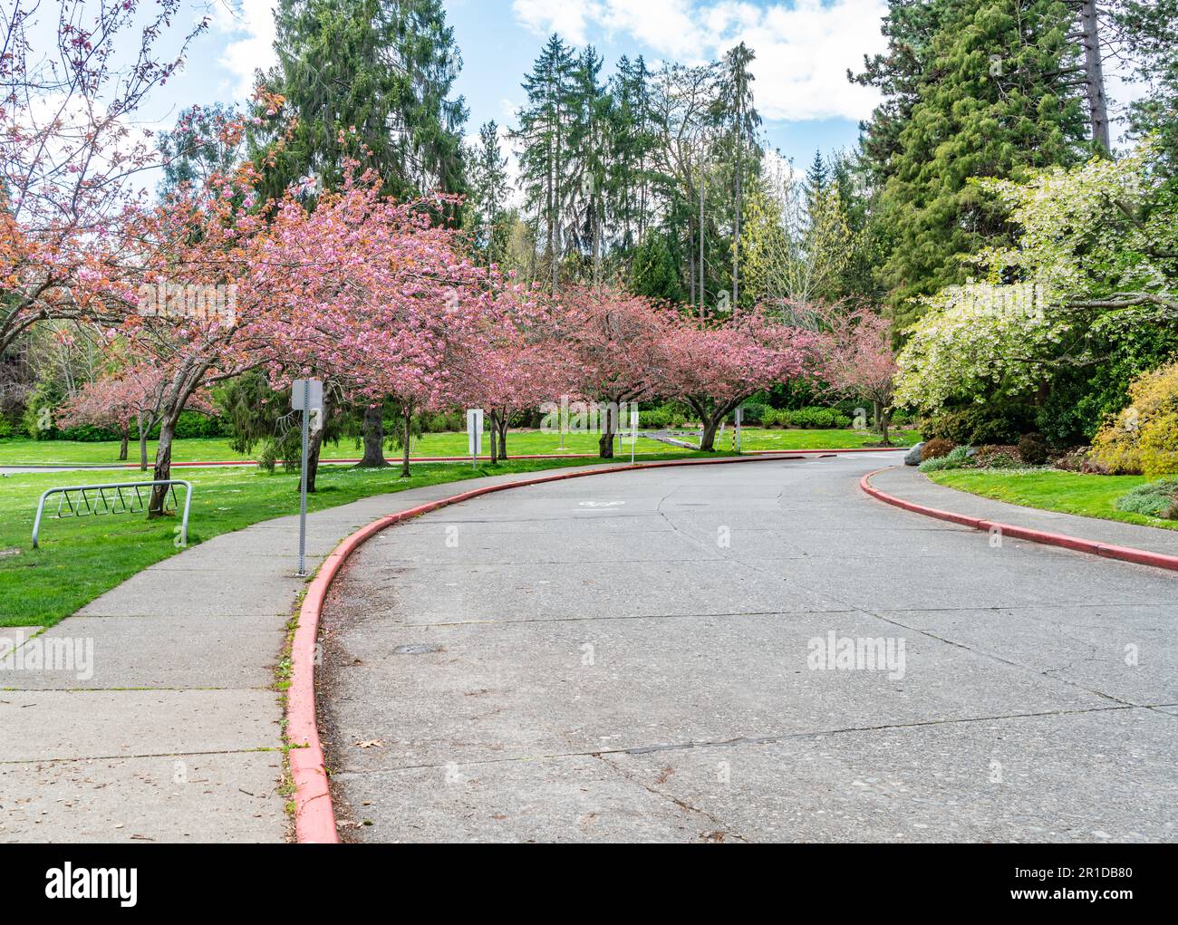 Spring Cherry Perth Spring cherry trees hi-res stock photography and images - Alamy