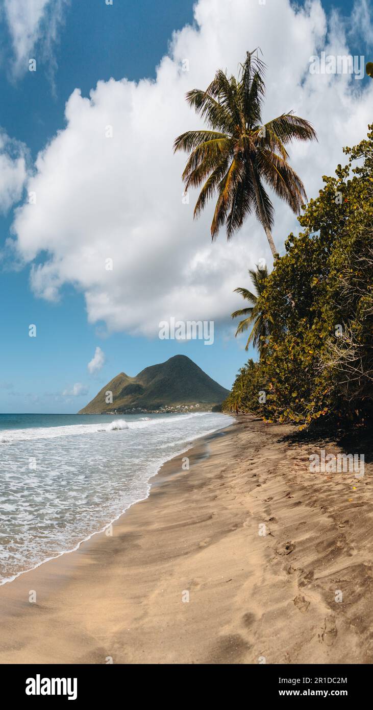 Caribbean Martinique Diamant beach with coconut palm and blue sky. Travel concept for beach vacatation. French oversea territory. Stock Photo