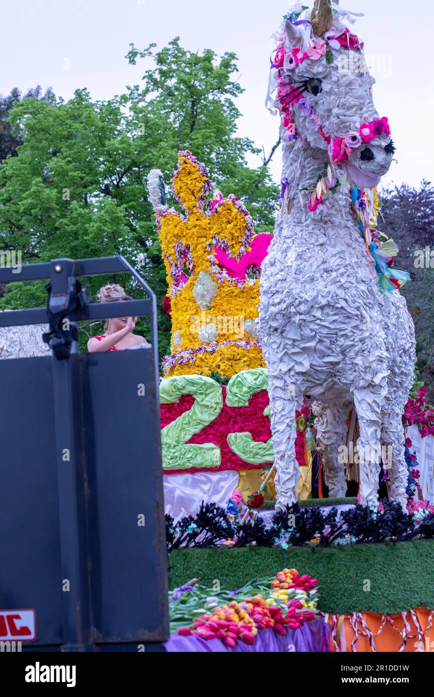 Spalding Flower parade 2023 Stock Photo Alamy