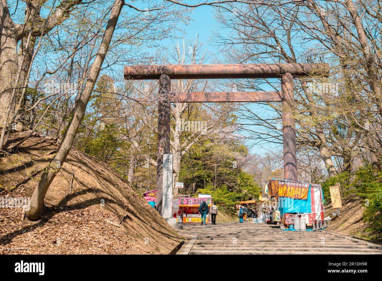 Sapporo, Hokkaido, Japan April 25, 2023 Maruyama park cherry