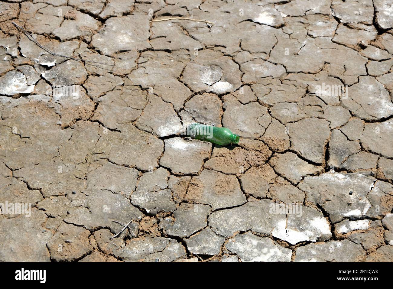 Old used glass bottle inside drought ground cracks. Dry land in the dry season. Lack of humidity effect from global cracked soil. Stock Photo