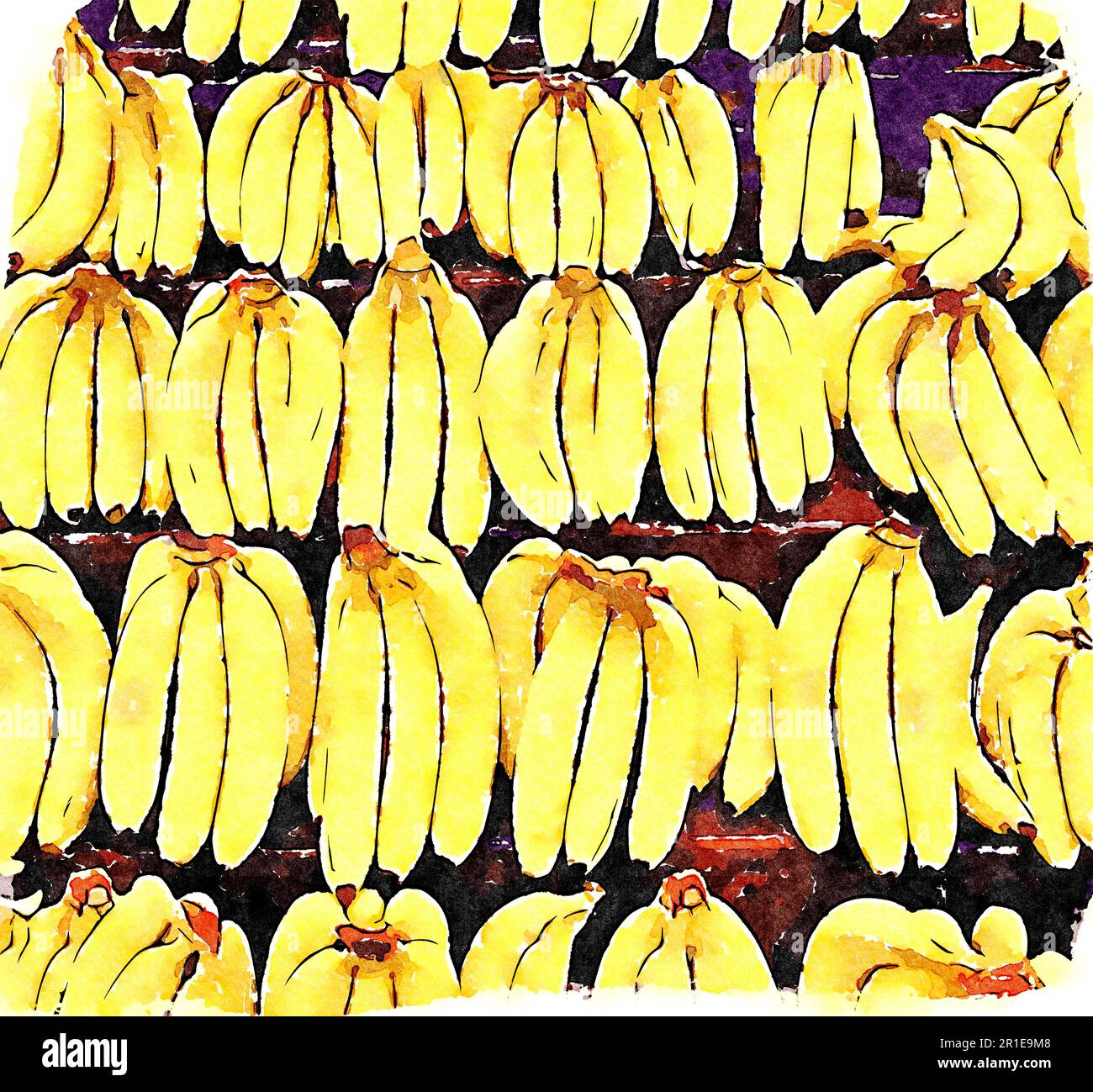 Display of bananas in watercolor Stock Photo Alamy