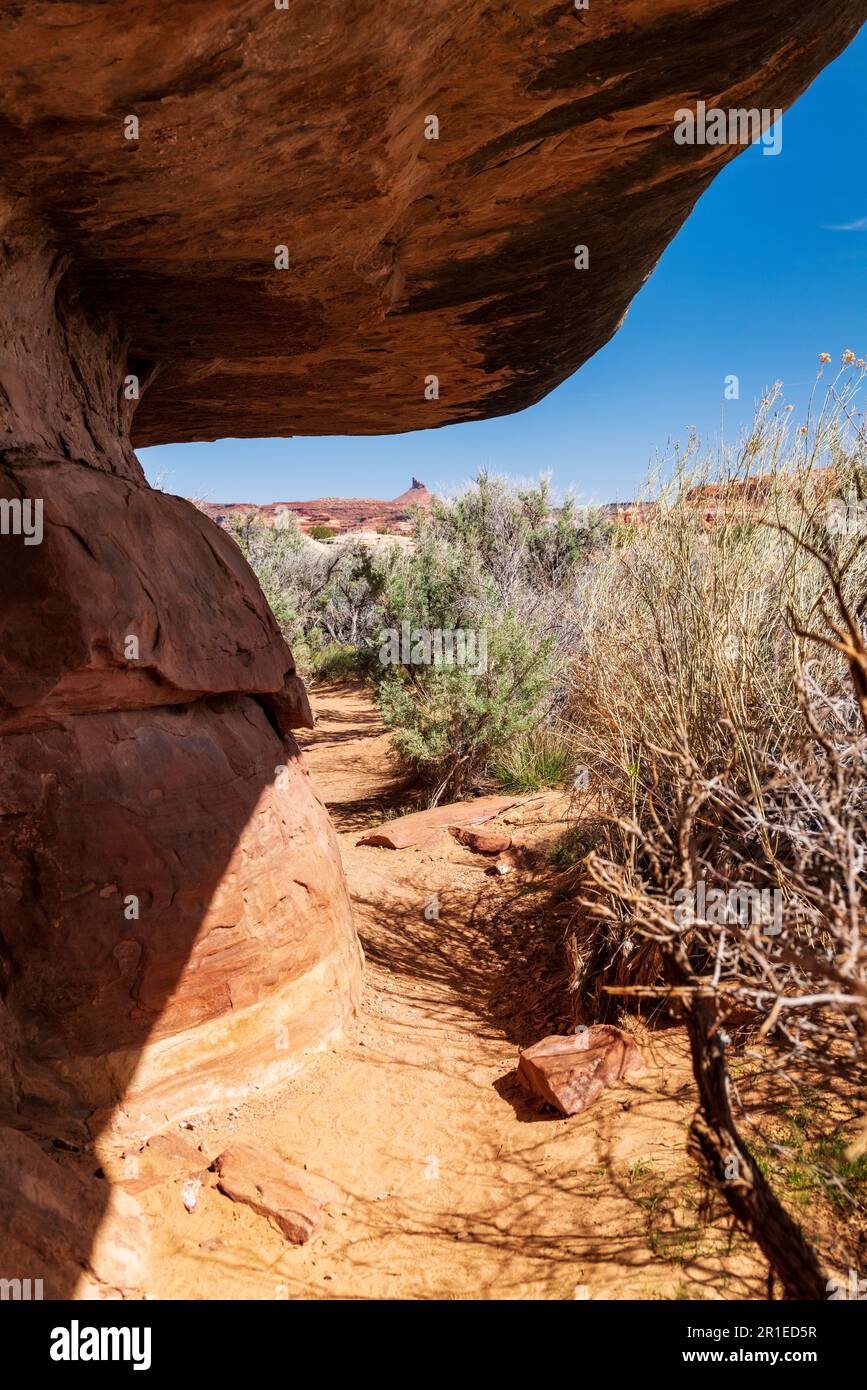 Cave Spring Trail; 1,000 year old ancestral site & cowboy camp; Canyonlands National Park; Utah; USA Stock Photo